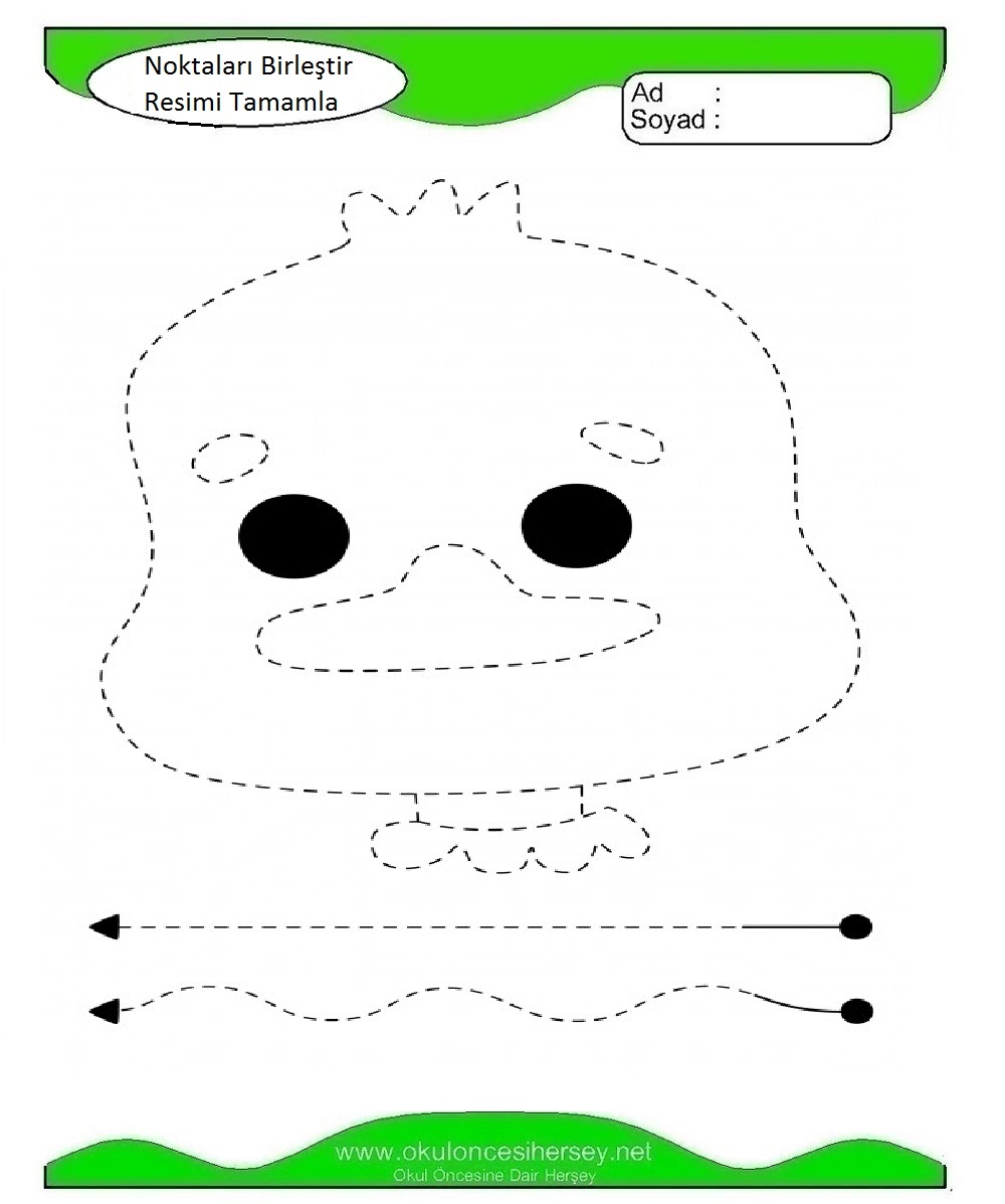 Çizgi Çalışmaları