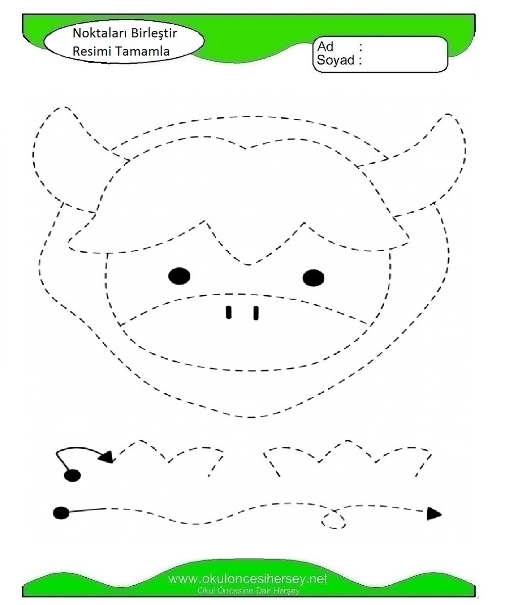 Çizgi Çalışmaları