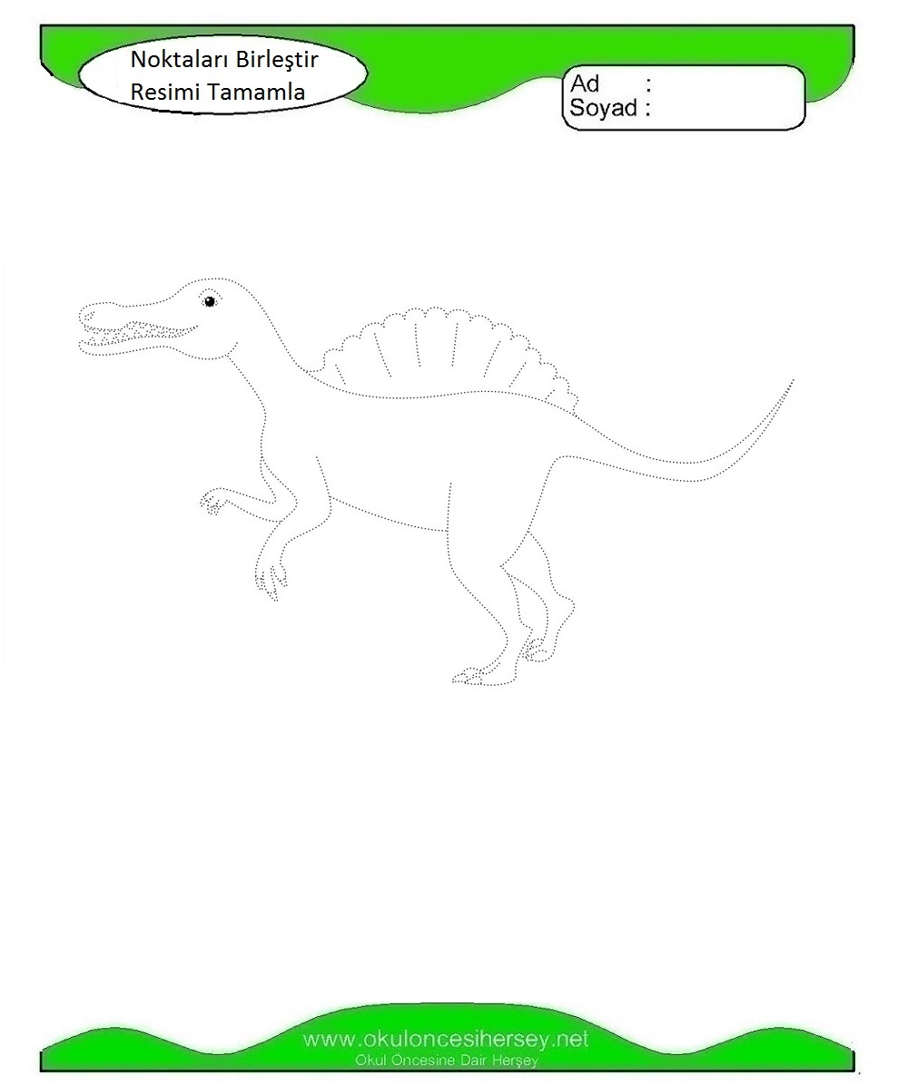 Çizgi Çalışmaları