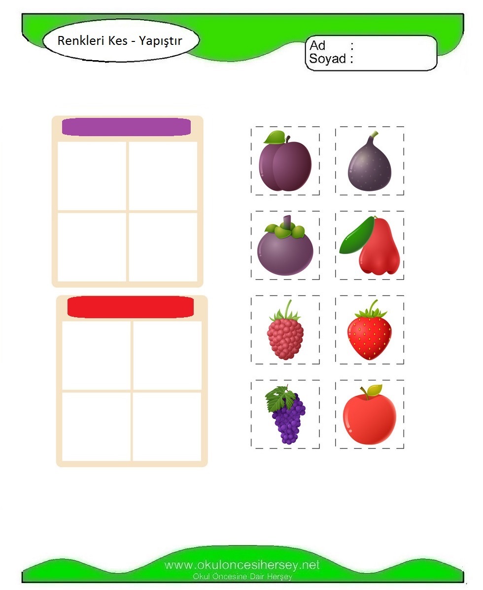 Doğru Rengi Kes Yapıştır