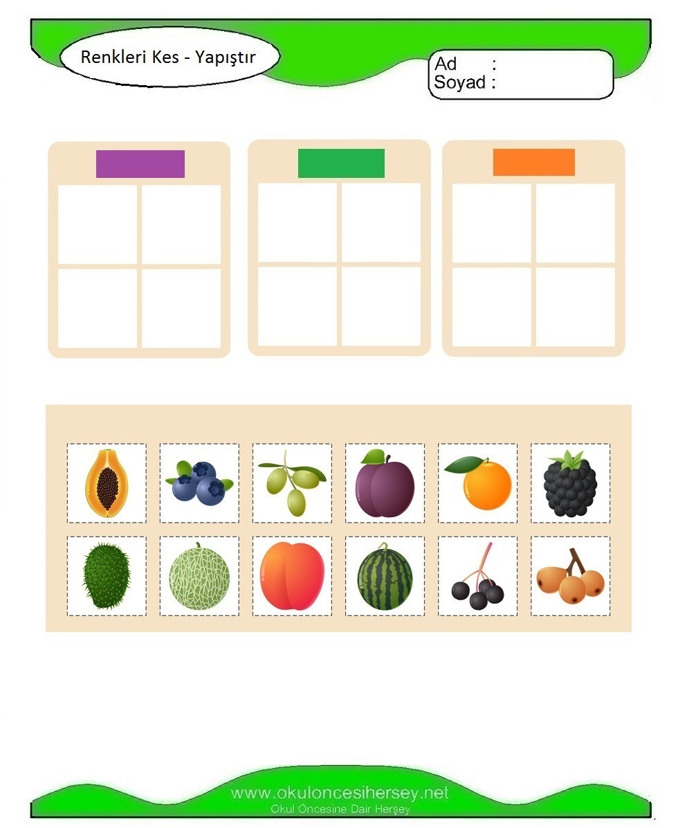 Doğru Rengi Kes Yapıştır