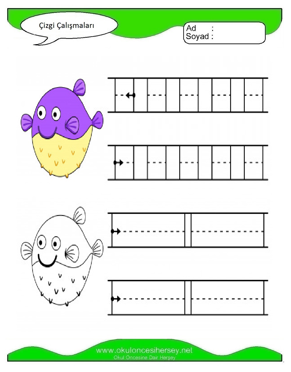 Çizgi Çalışmaları