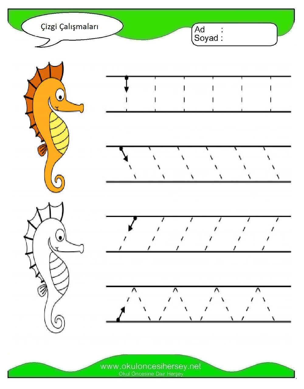 Çizgi Çalışmaları