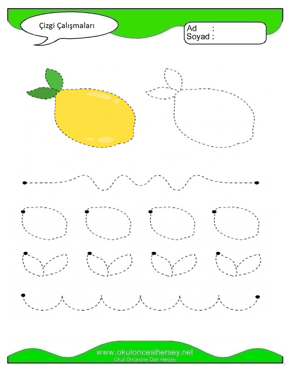 Çizgi Çalışmaları