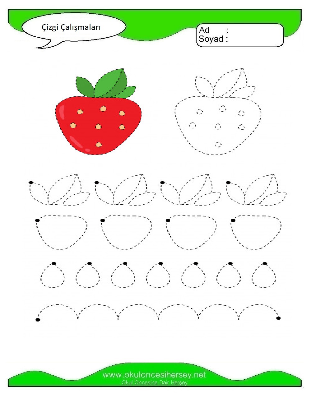 Çizgi Çalışmaları