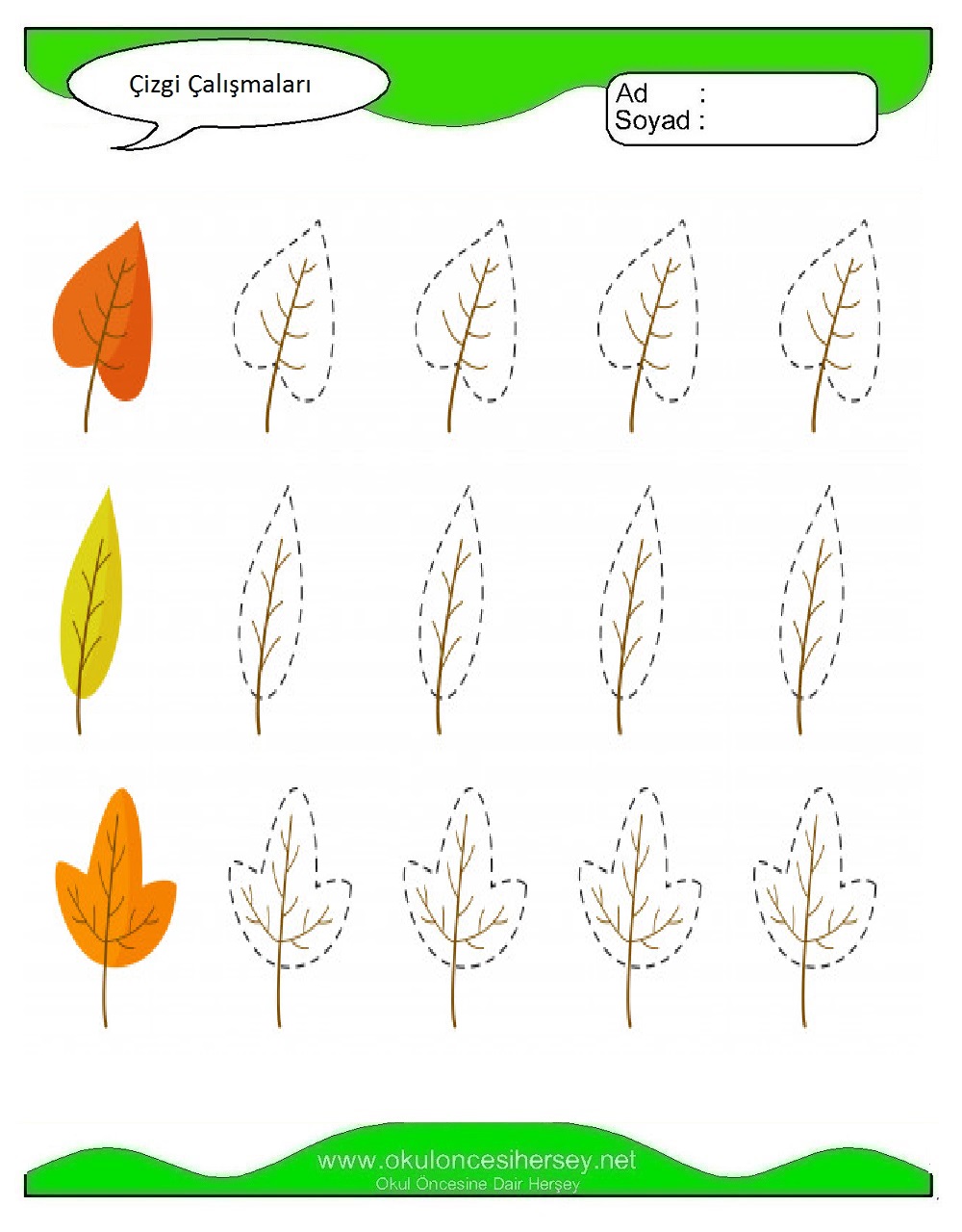 Çizgi Çalışmaları