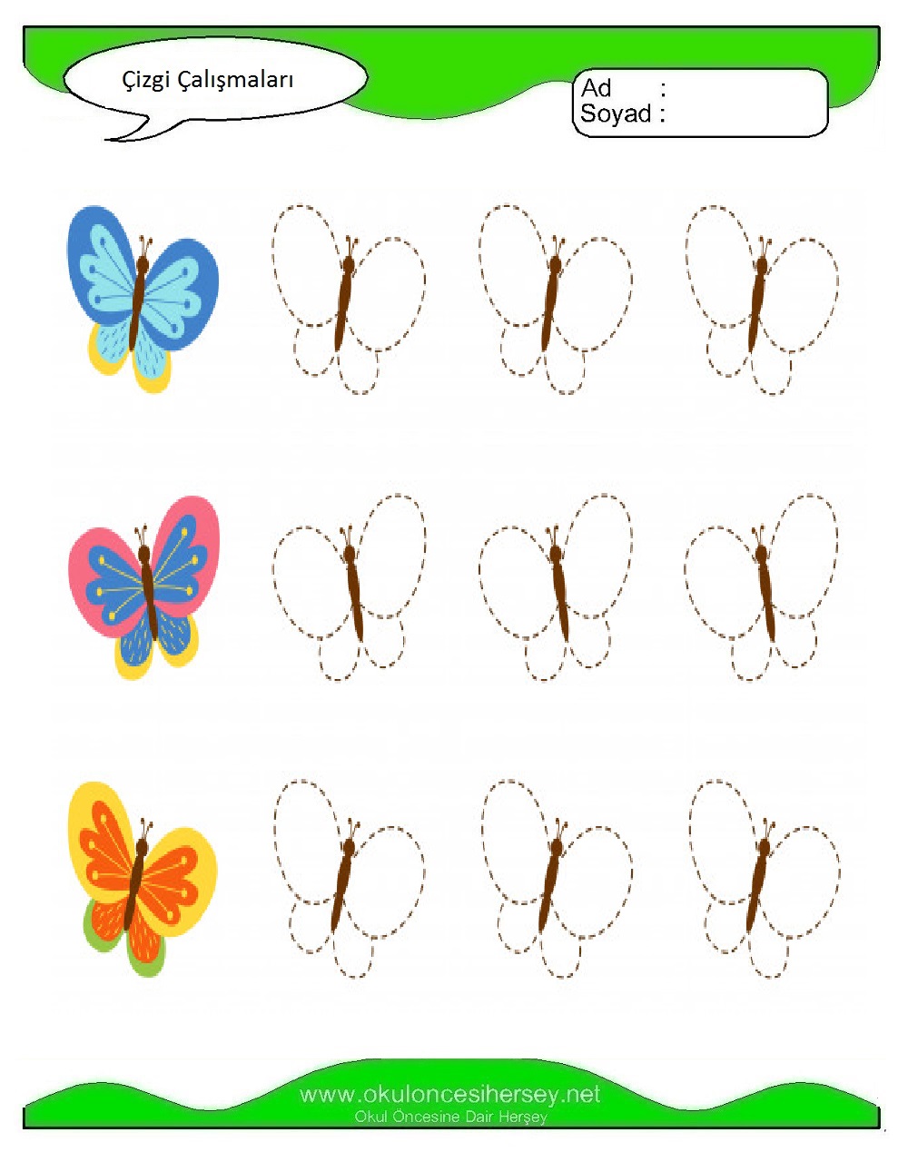 Çizgi Çalışmaları