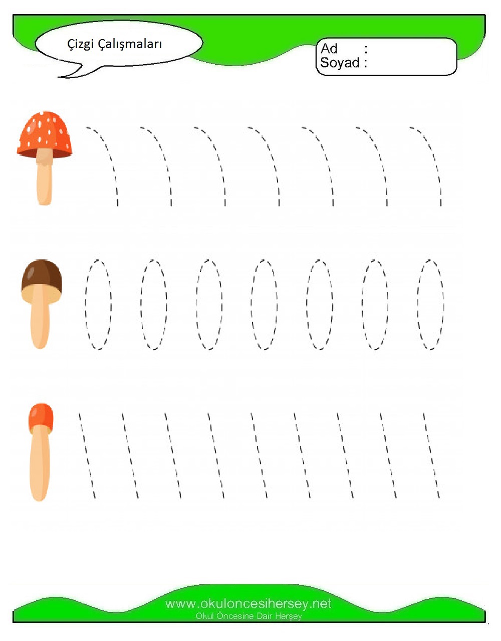 Çizgi Çalışmaları