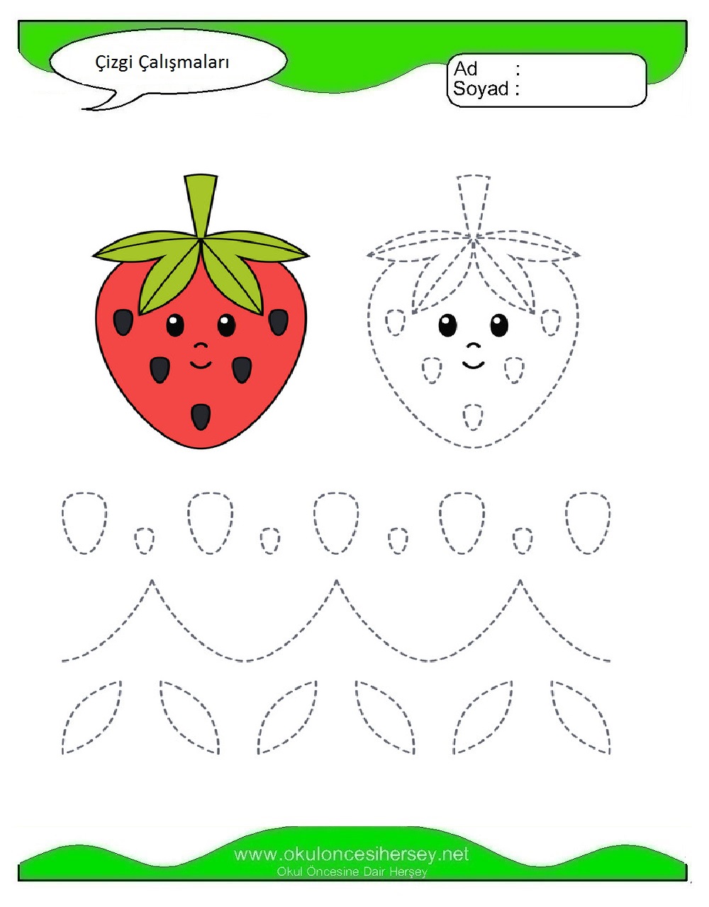 Çizgi Çalışmaları