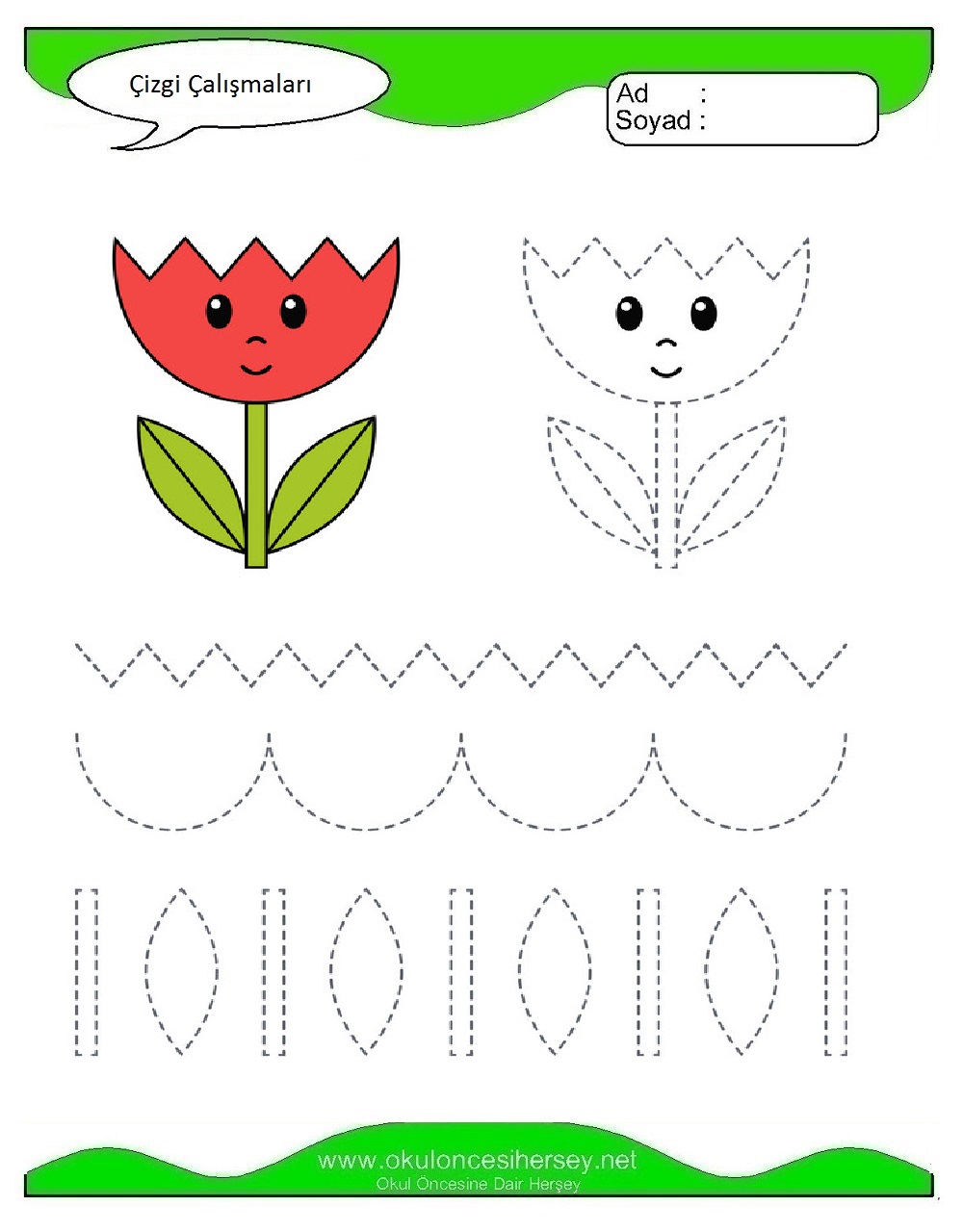 Çizgi Çalışmaları