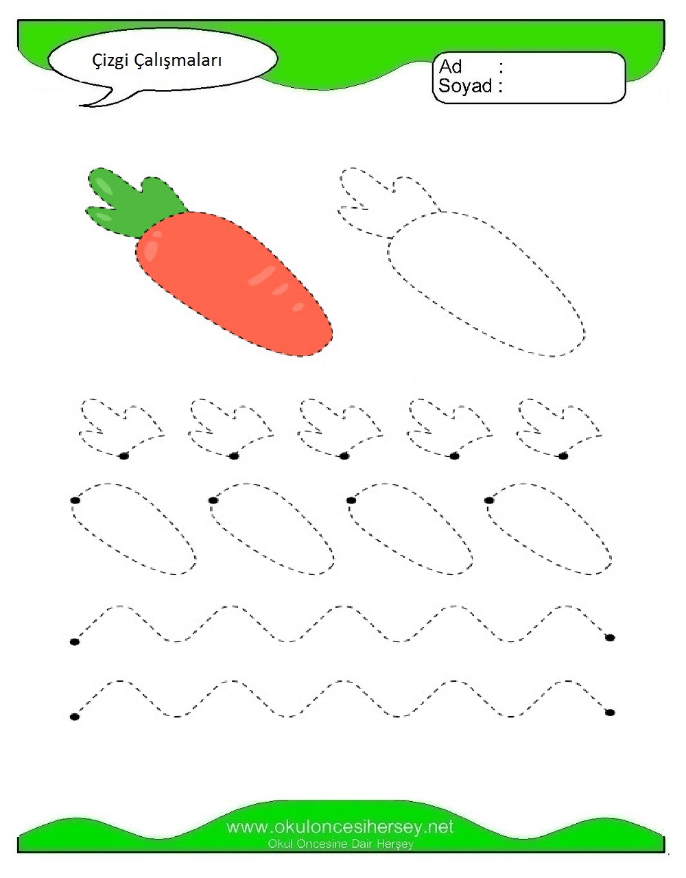 Çizgi Çalışmaları