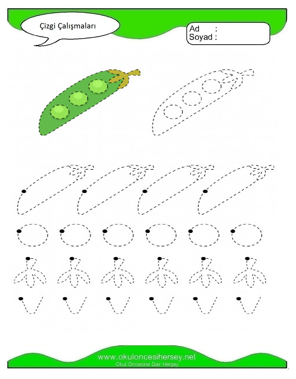 Çizgi Çalışmaları
