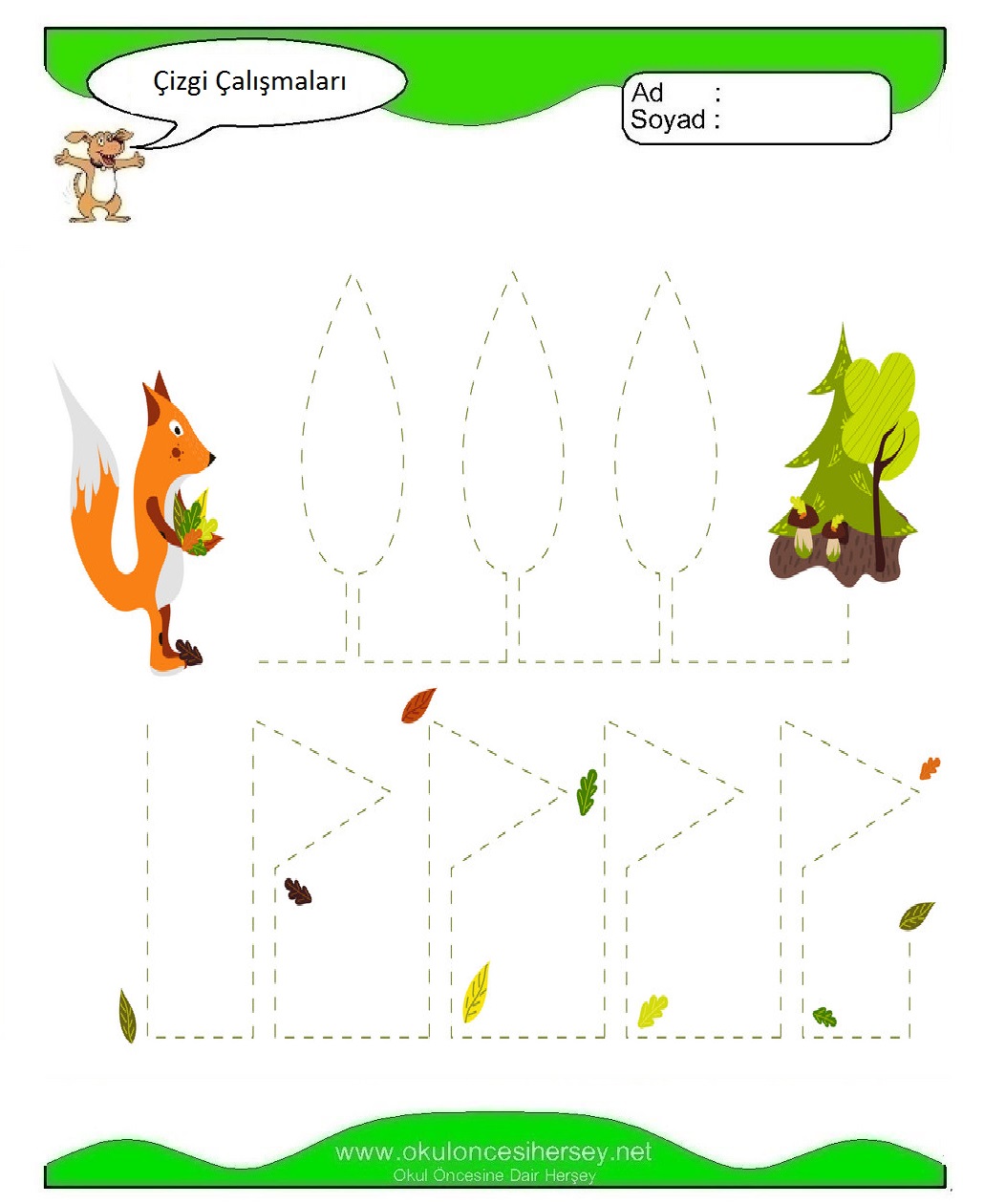 Çizgi Çalışmaları