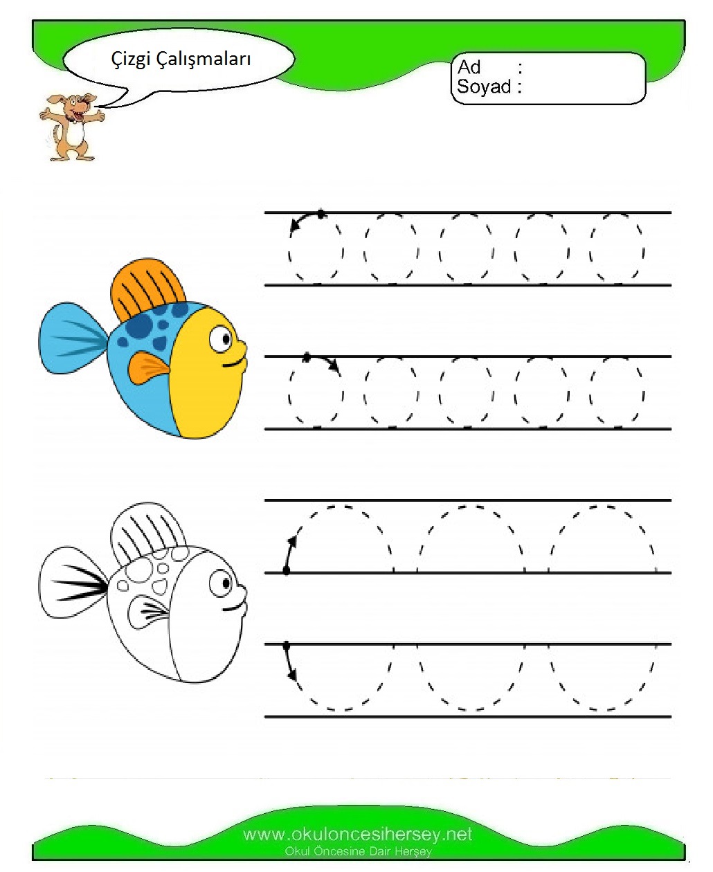 Çizgi Çalışmaları