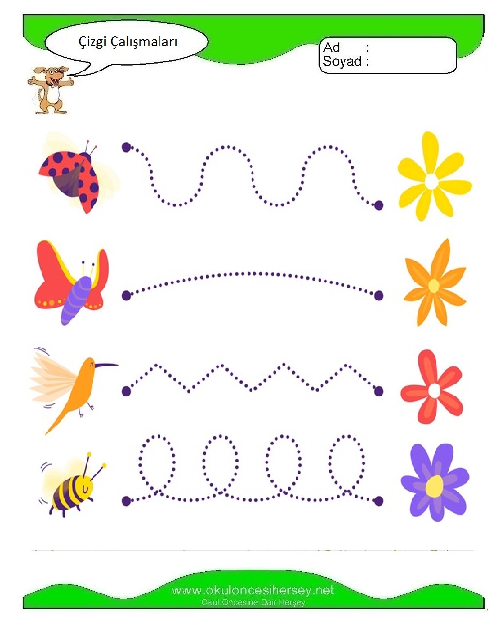 Çizgi Çalışmaları