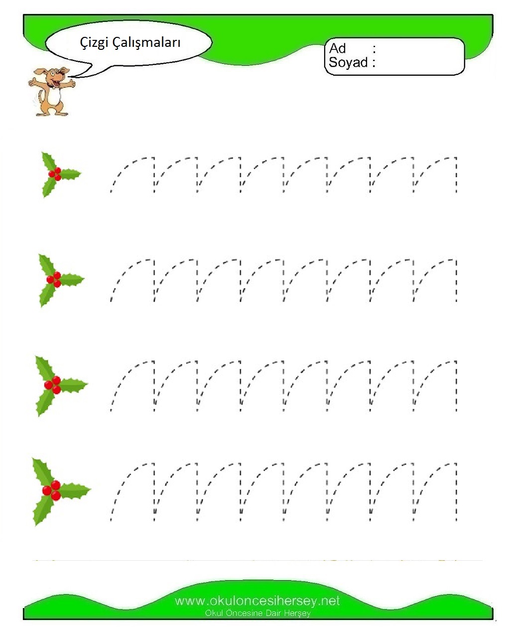 Çizgi Çalışmaları