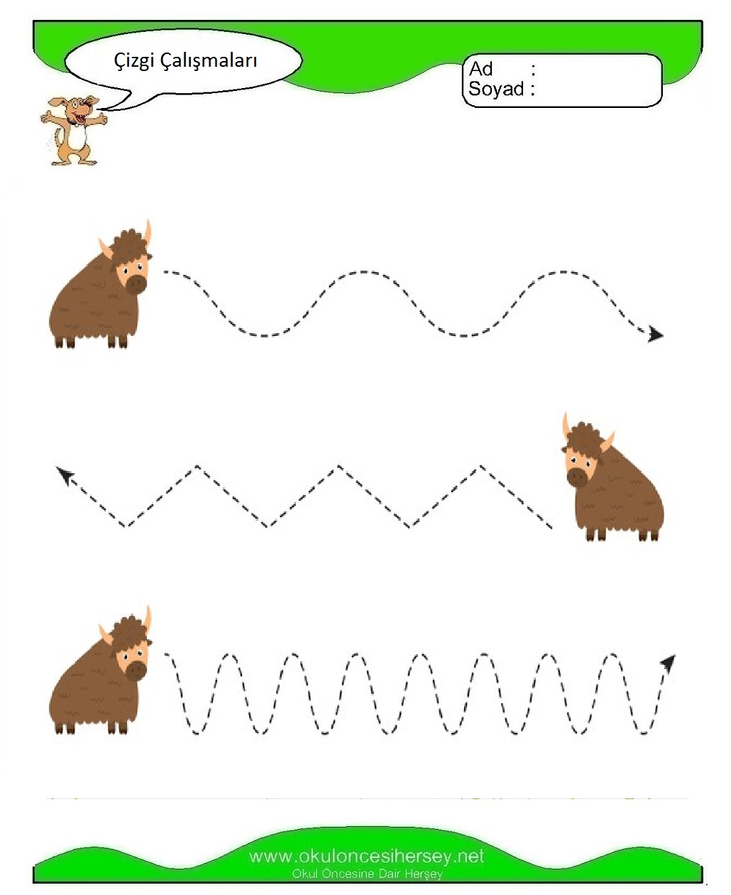 Çizgi Çalışmaları