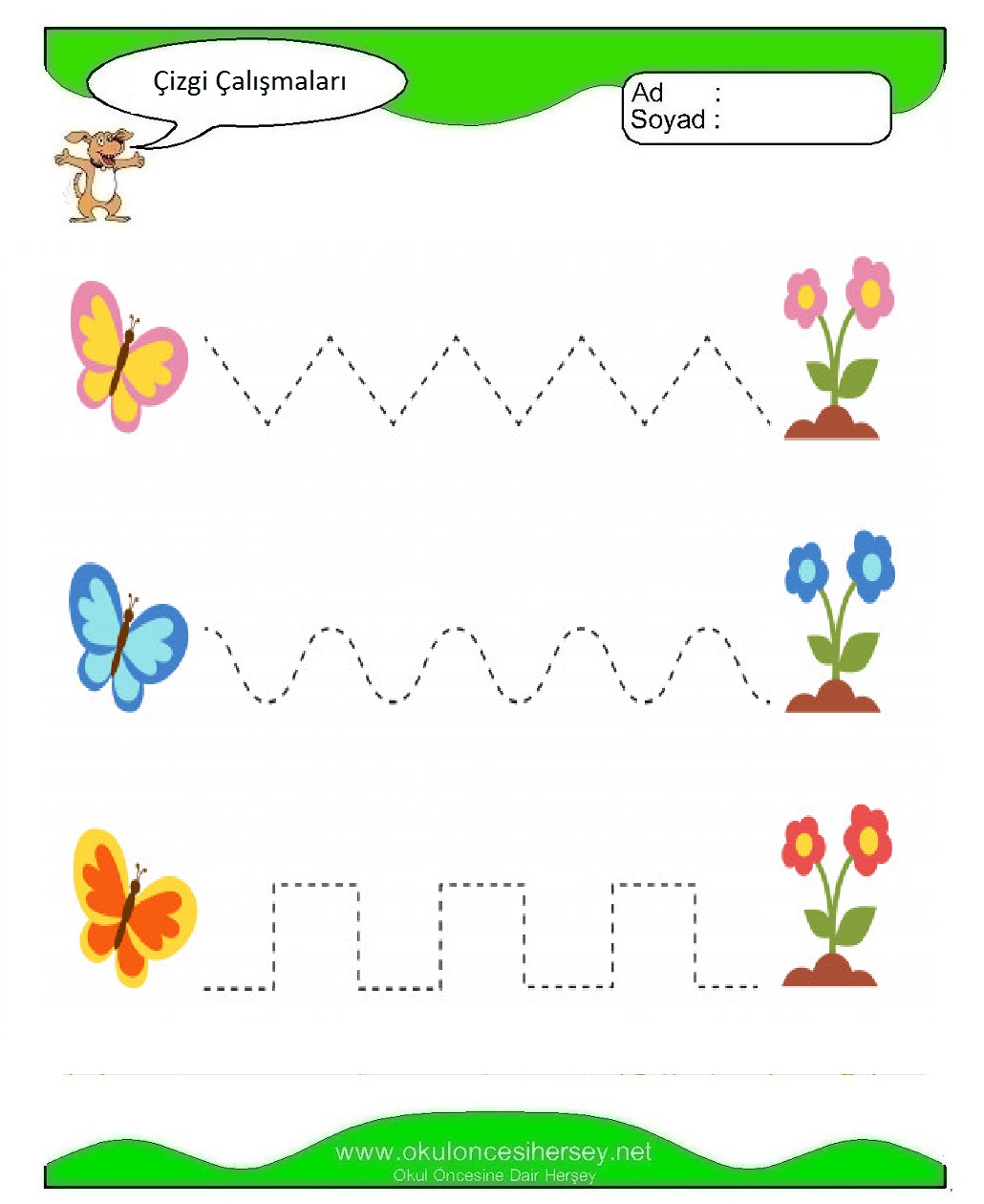 Çizgi Çalışmaları