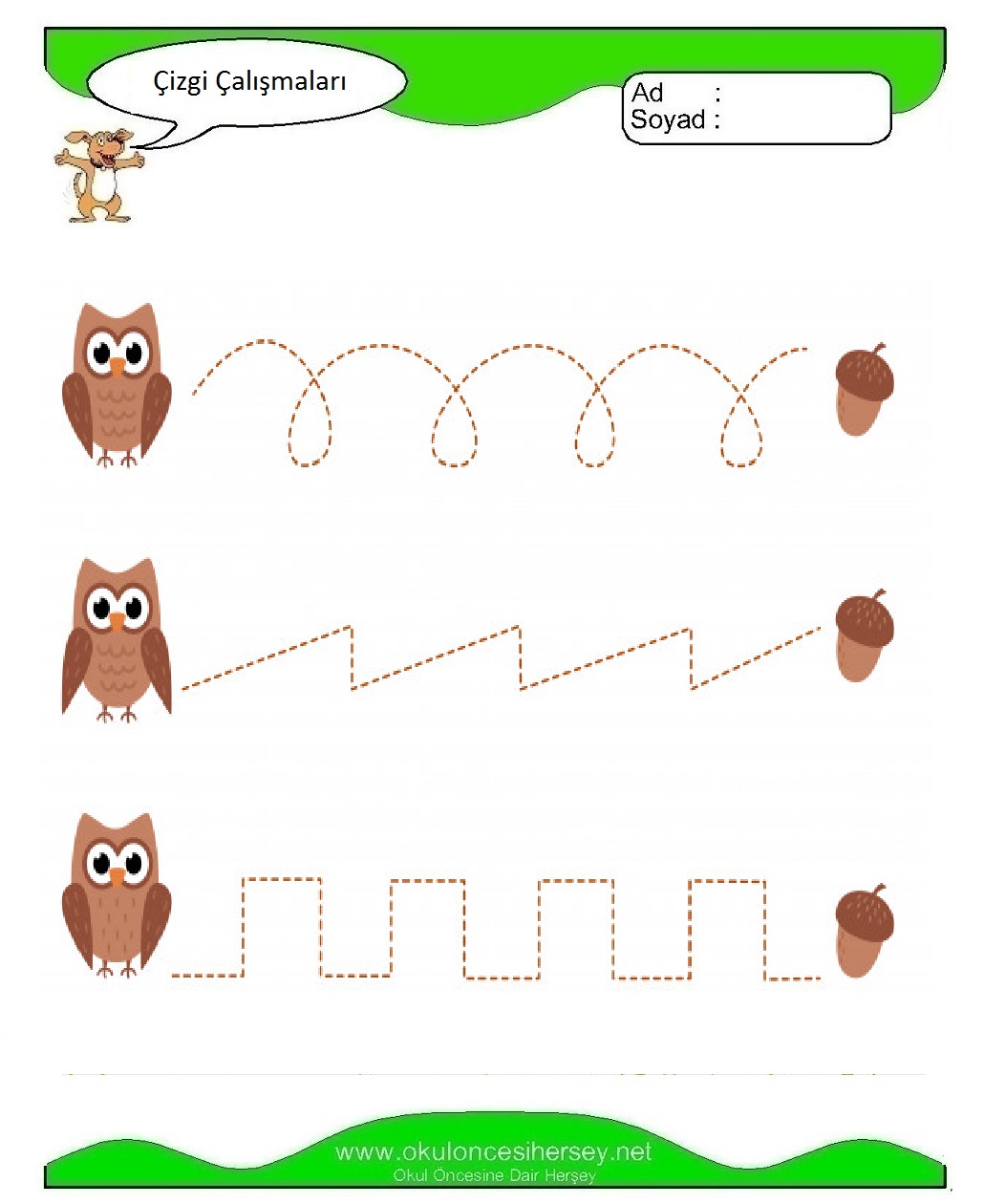 Çizgi Çalışmaları