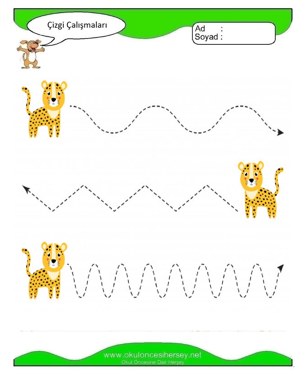 Çizgi Çalışmaları