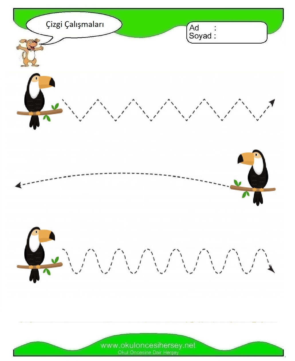 Çizgi Çalışmaları