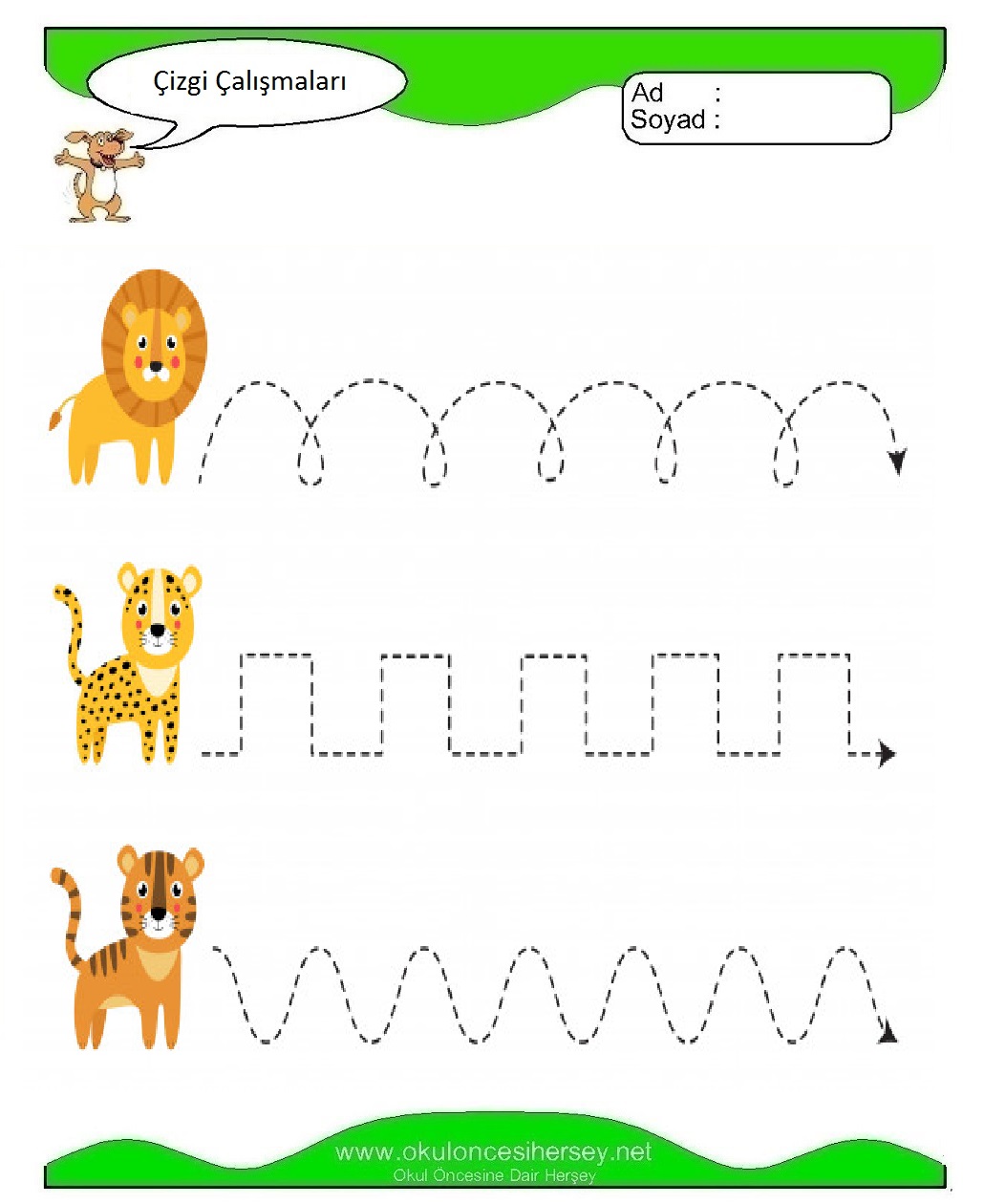 Çizgi Çalışmaları