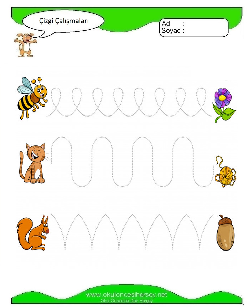 Çizgi Çalışmaları