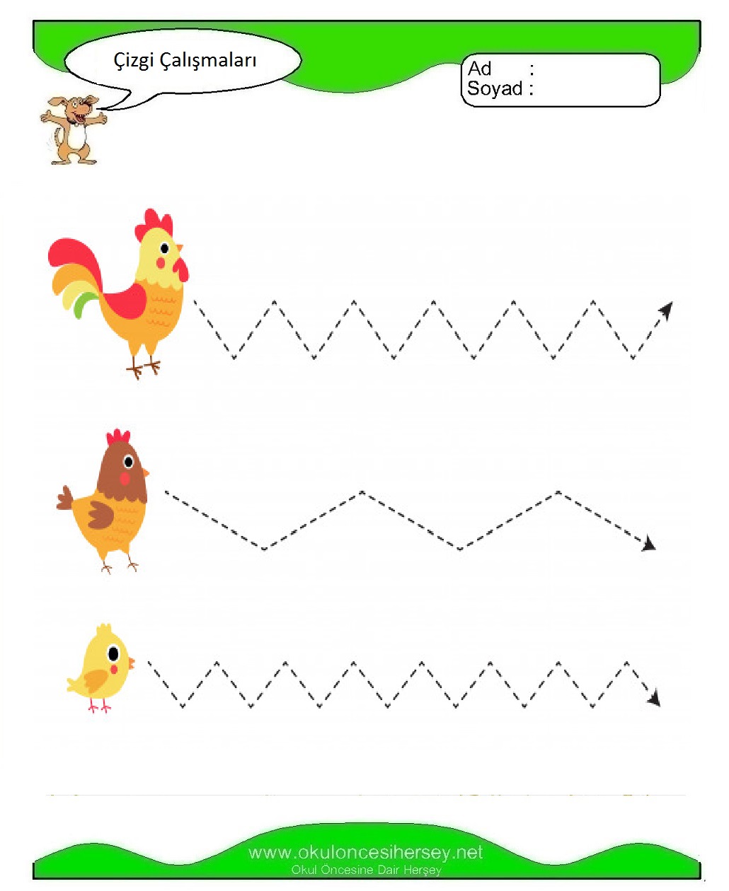 Çizgi Çalışmaları