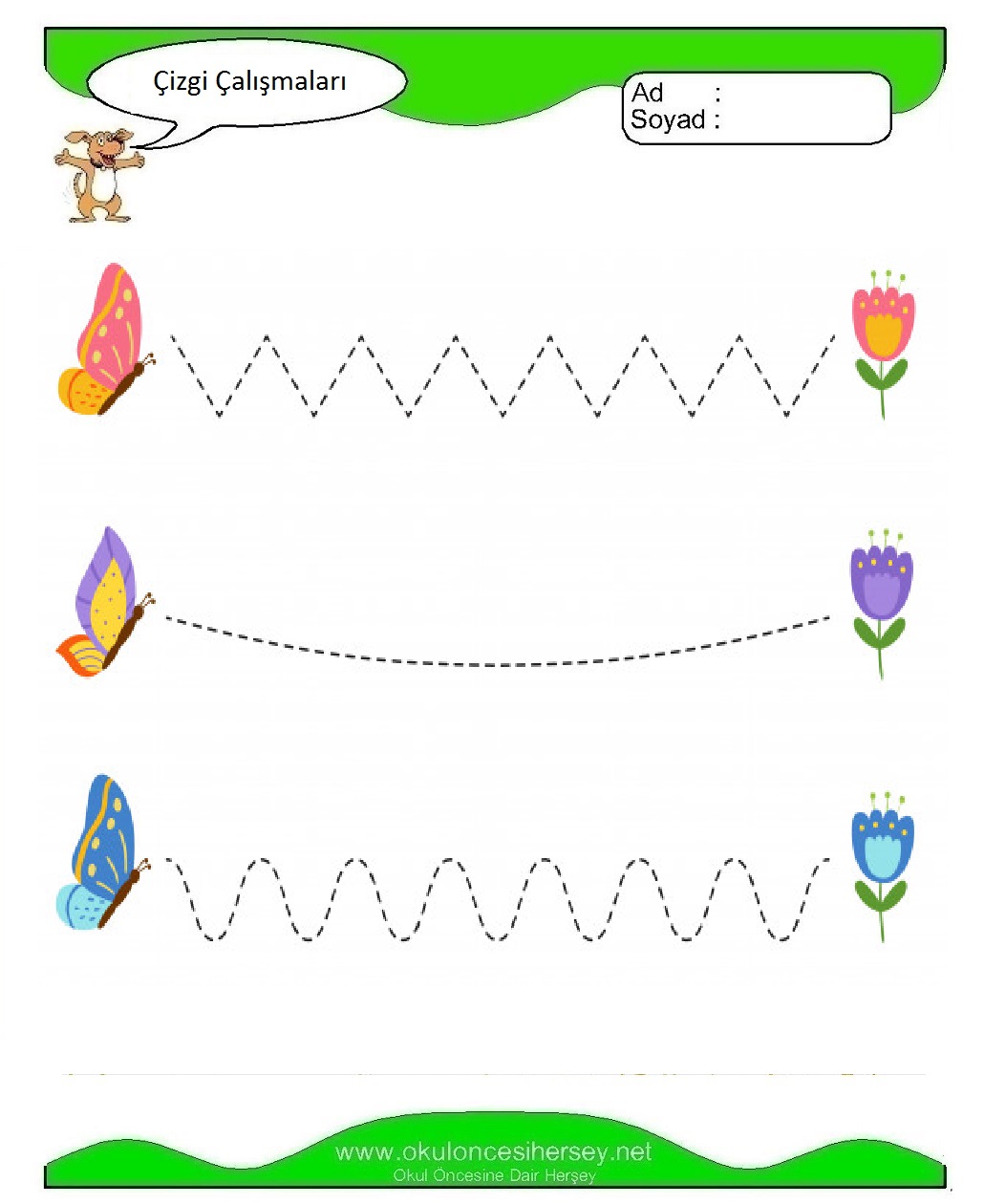 Çizgi Çalışmaları