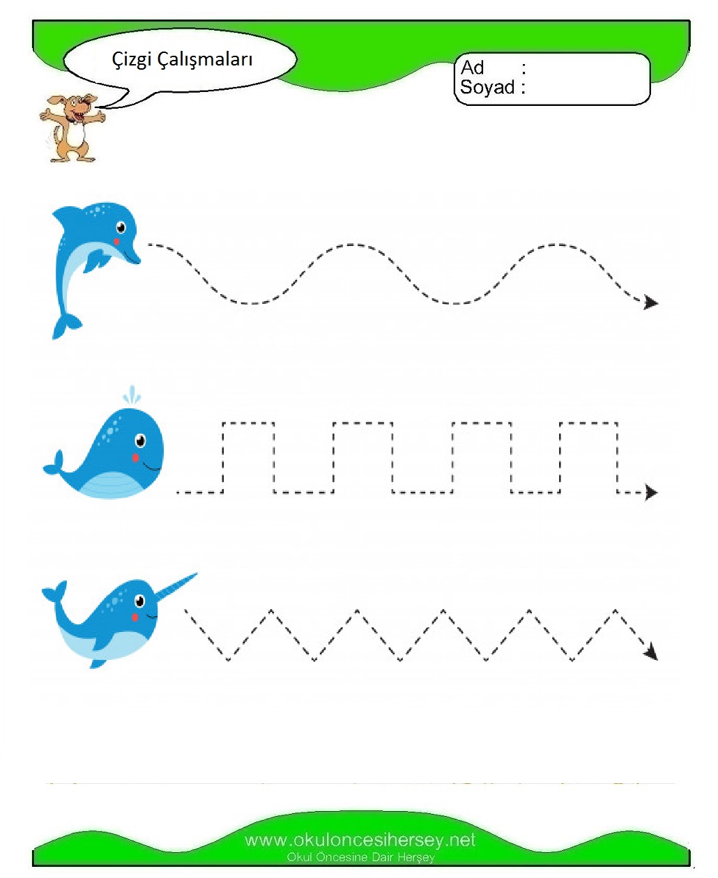 Çizgi Çalışmaları