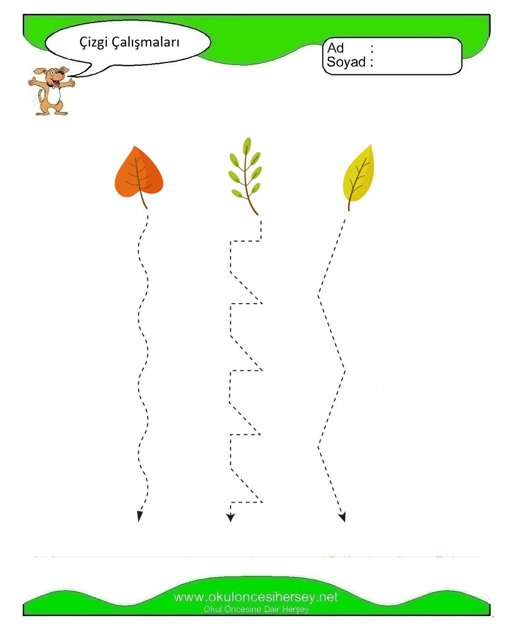 Çizgi Çalışmaları