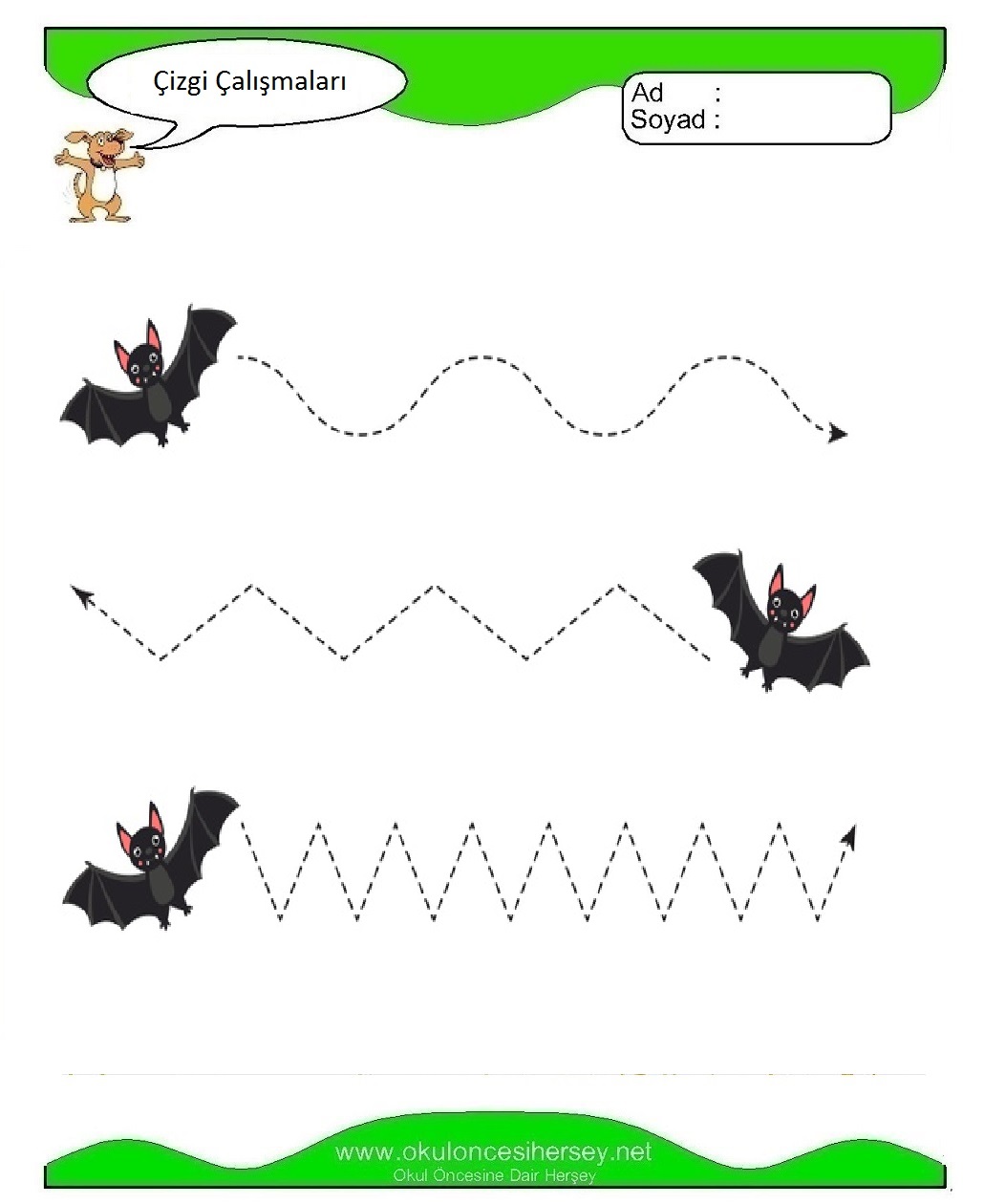 Çizgi Çalışmaları