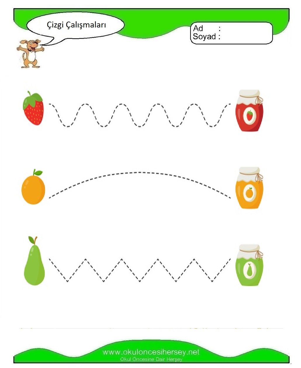 Çizgi Çalışmaları