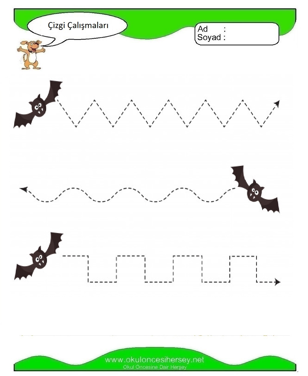 Çizgi Çalışmaları