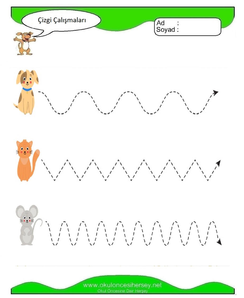 Çizgi Çalışmaları