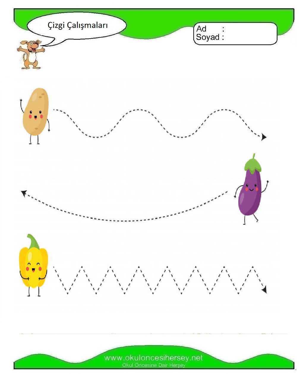Çizgi Çalışmaları