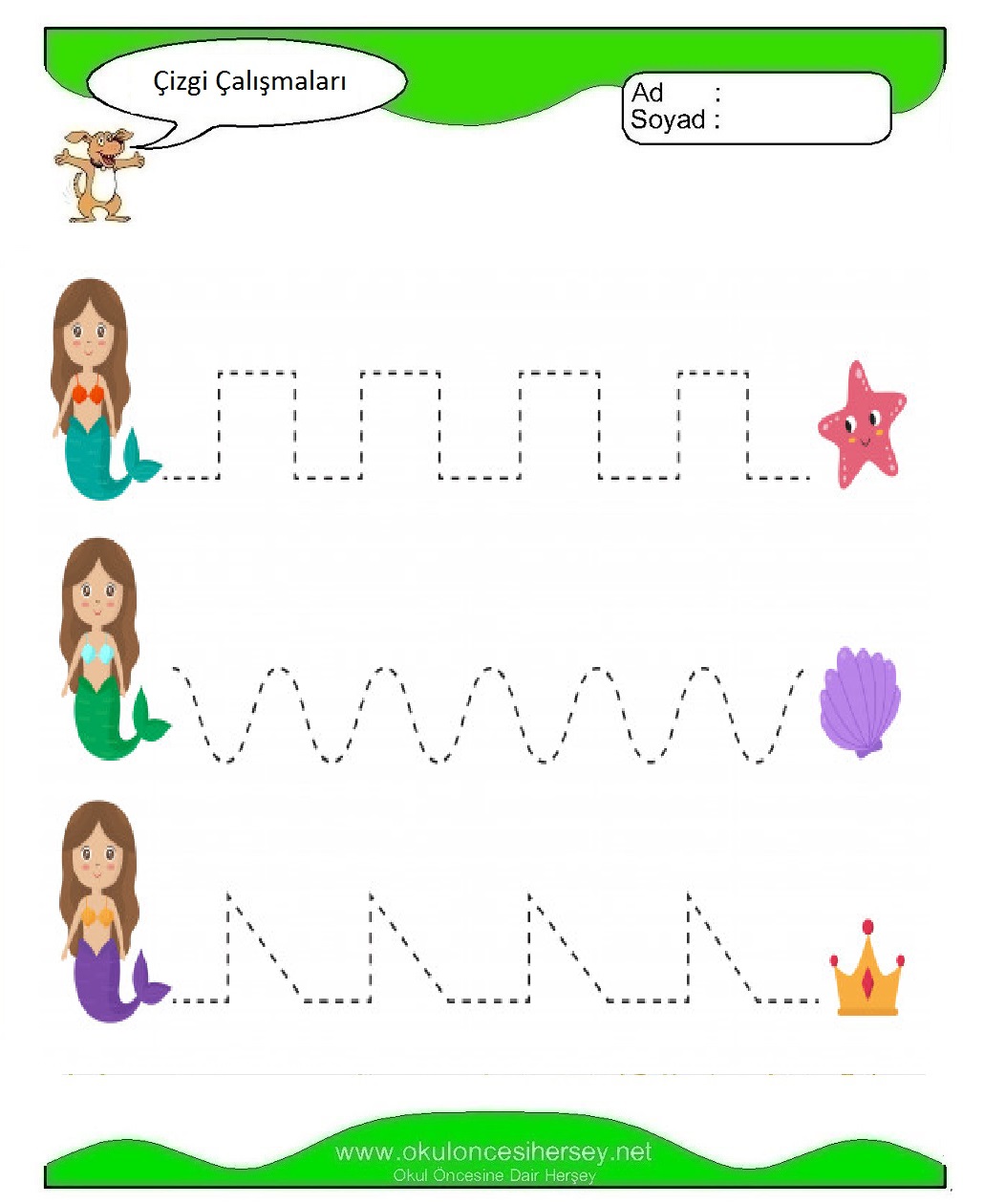 Çizgi Çalışmaları