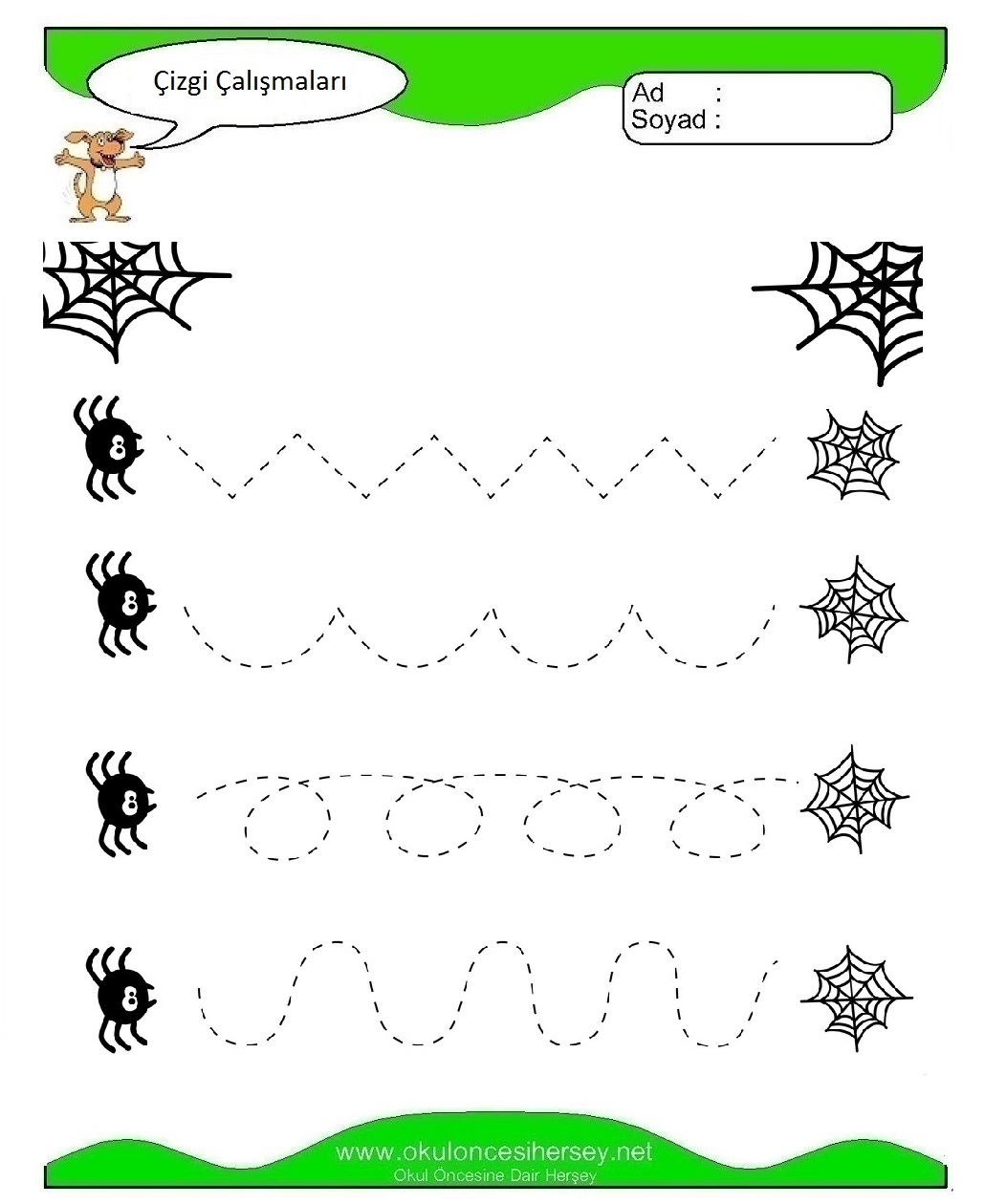 Çizgi Çalışmaları