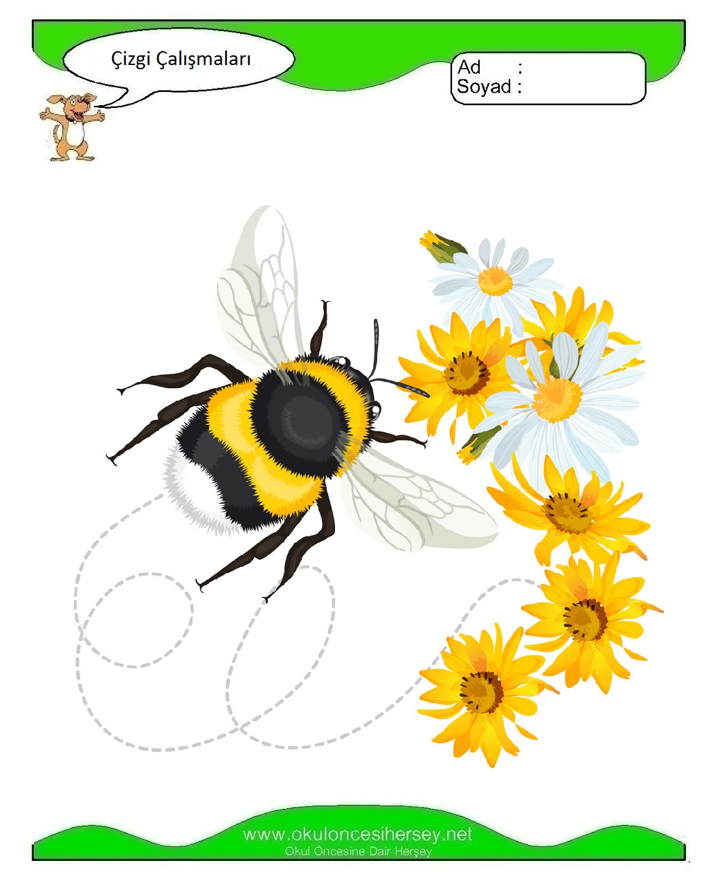 Çizgi Çalışmaları