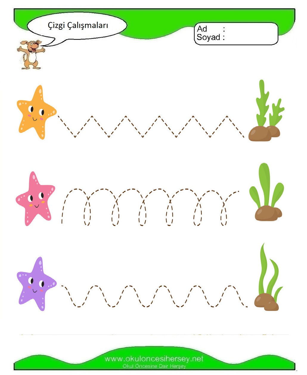 Çizgi Çalışmaları