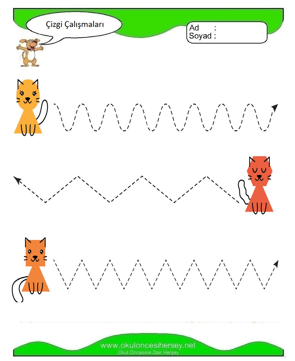 Çizgi Çalışmaları