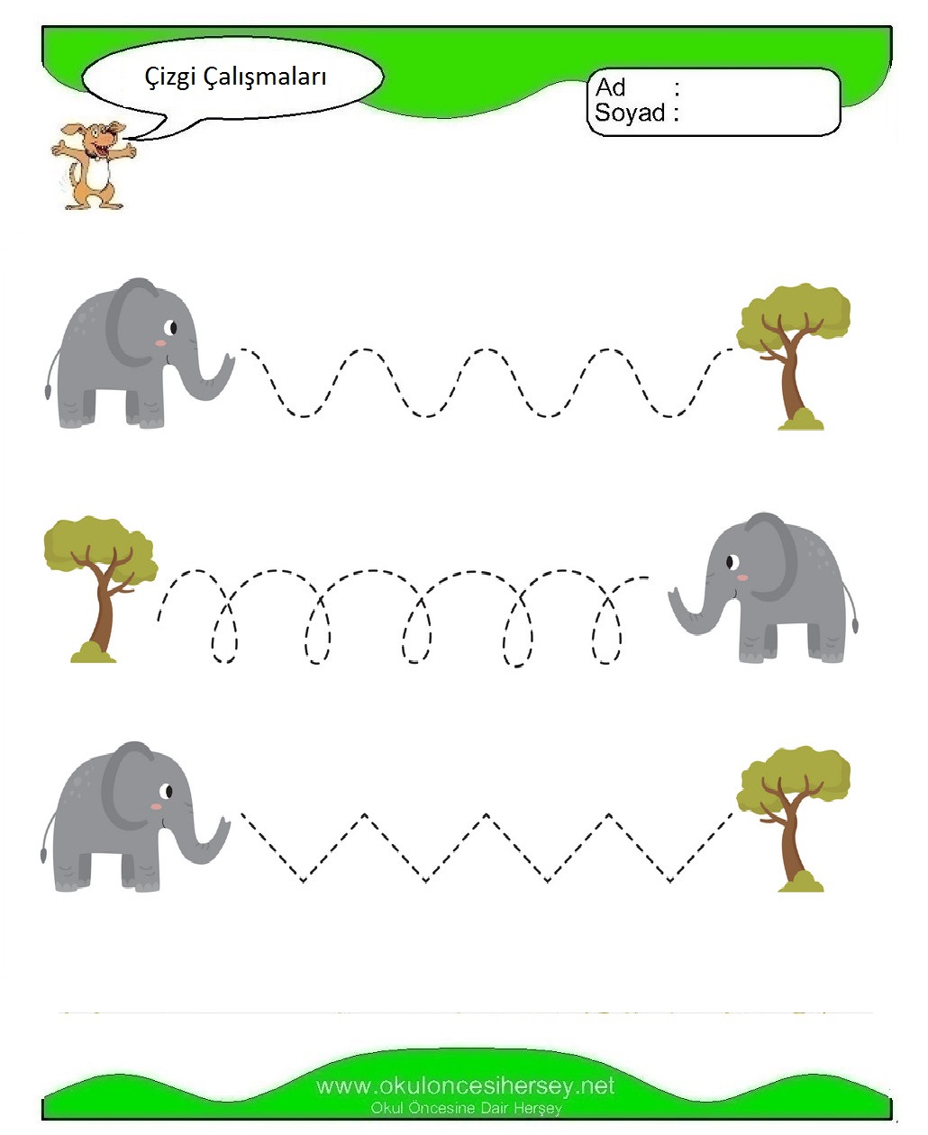 Çizgi Çalışmaları