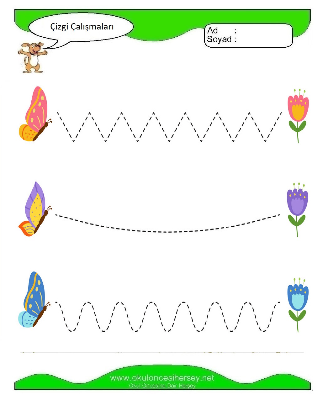 Çizgi Çalışmaları