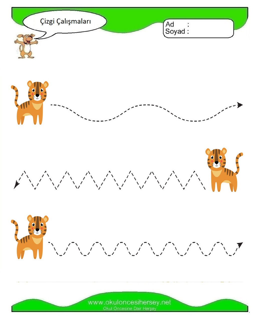 Çizgi Çalışmaları