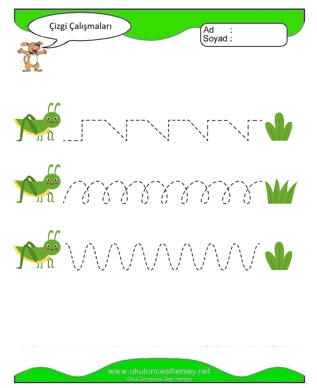 Çizgi Çalışmaları