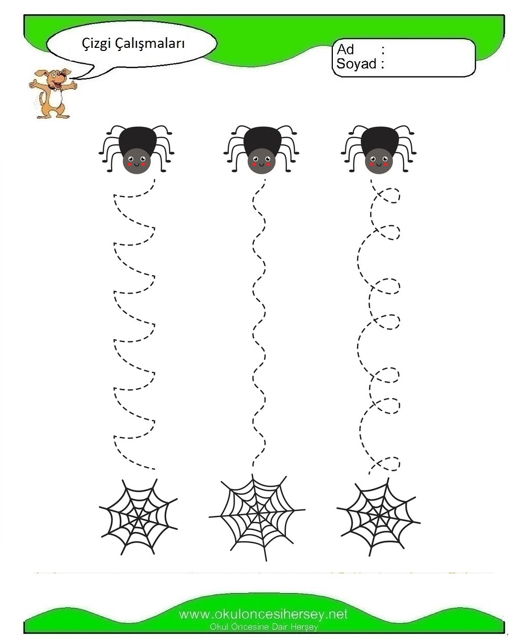 Çizgi Çalışmaları