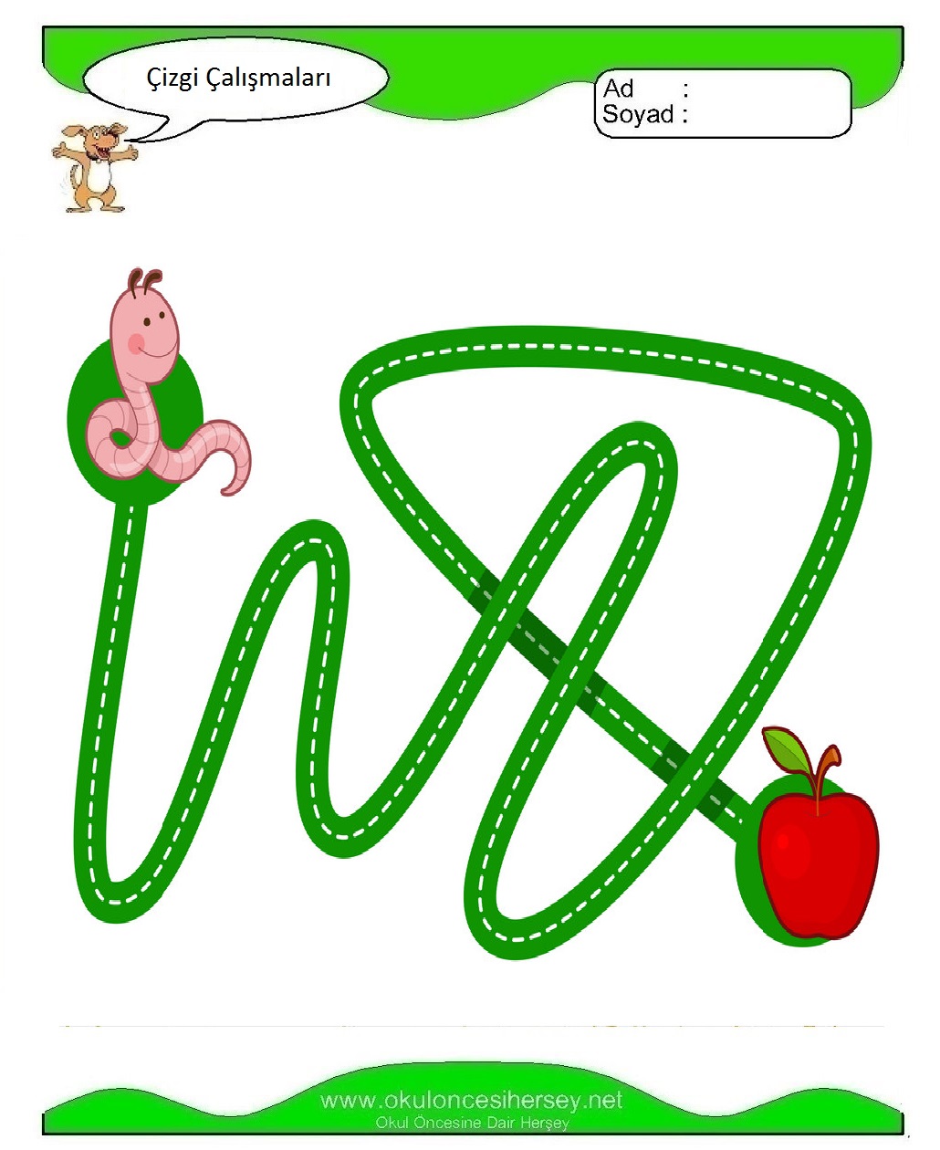 Çizgi Çalışmaları