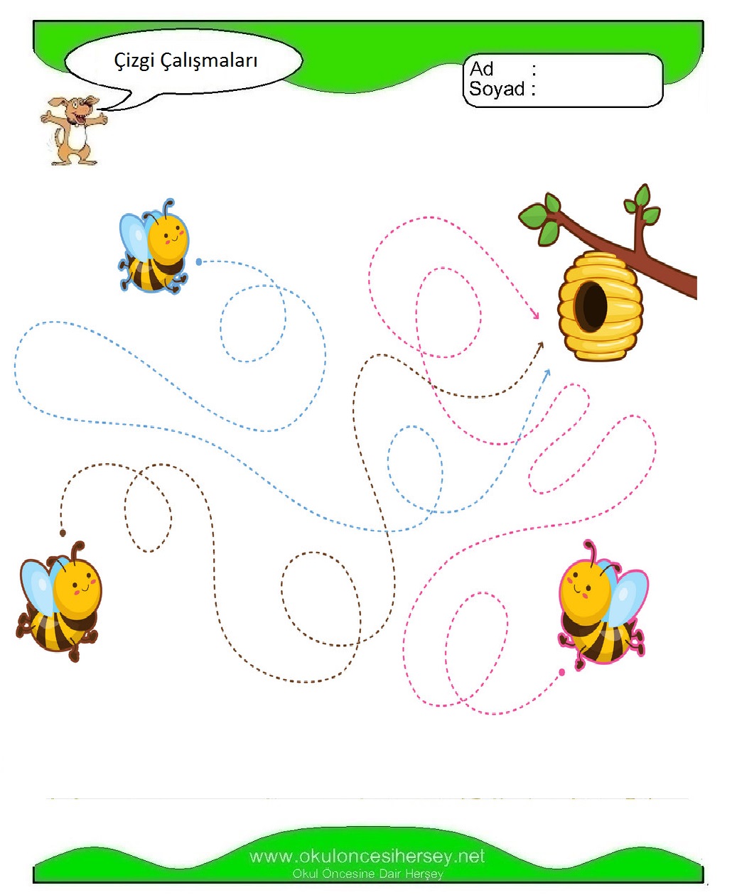 Çizgi Çalışmaları