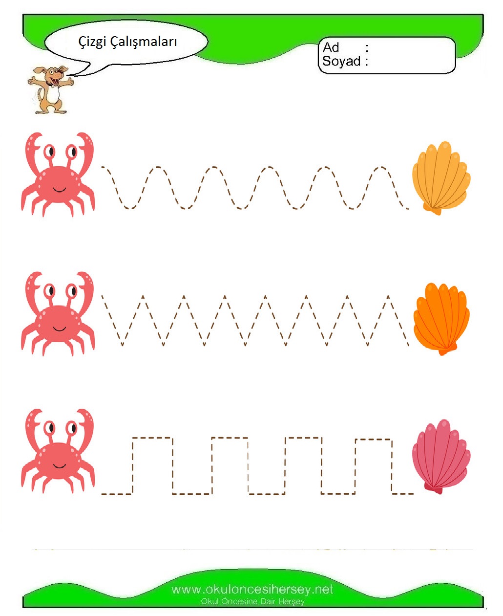 Çizgi Çalışmaları