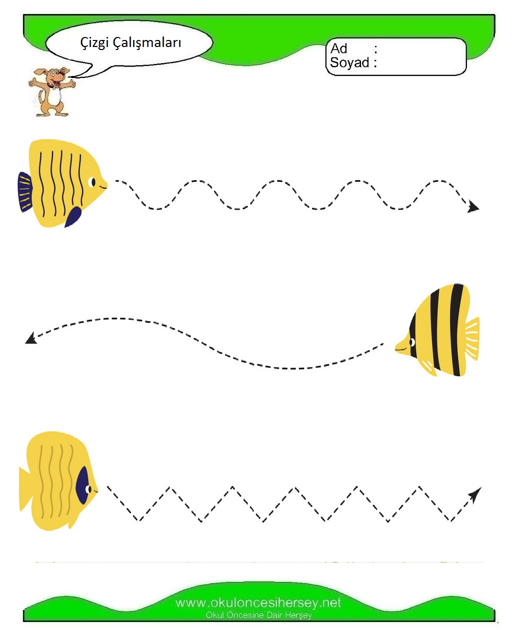 Çizgi Çalışmaları